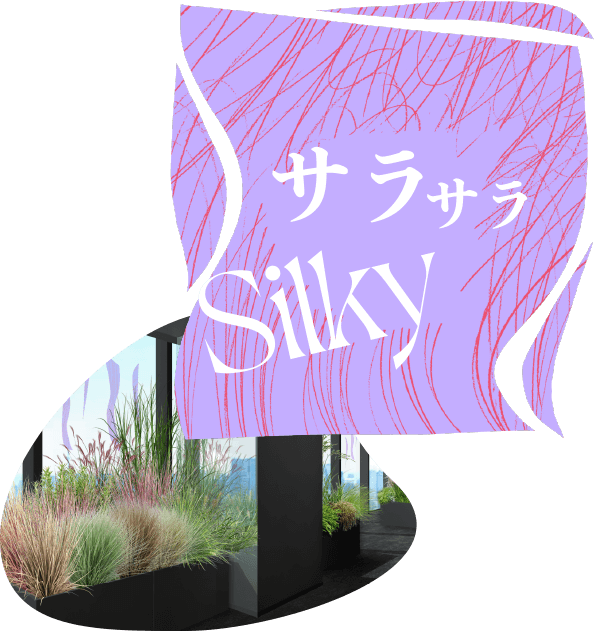 サラサラ Silky