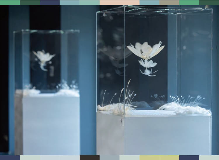 小松宏誠《シークレットガーデン》の作品画像