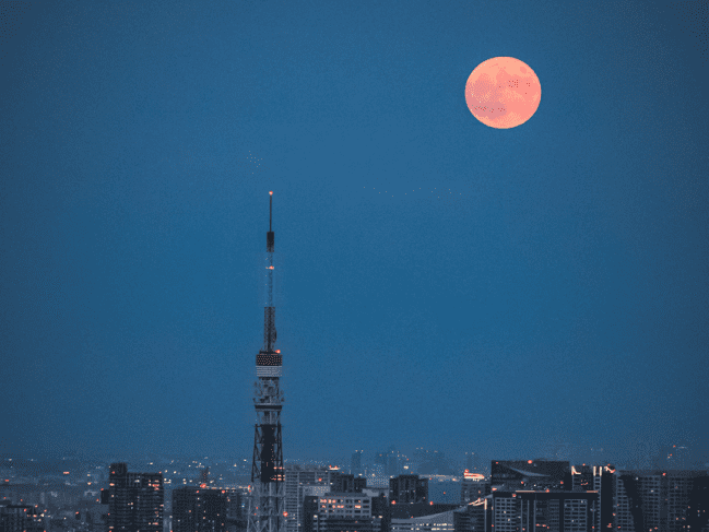 OTSUKIMI NIGHT at SHIBUYA 中秋の名月観賞