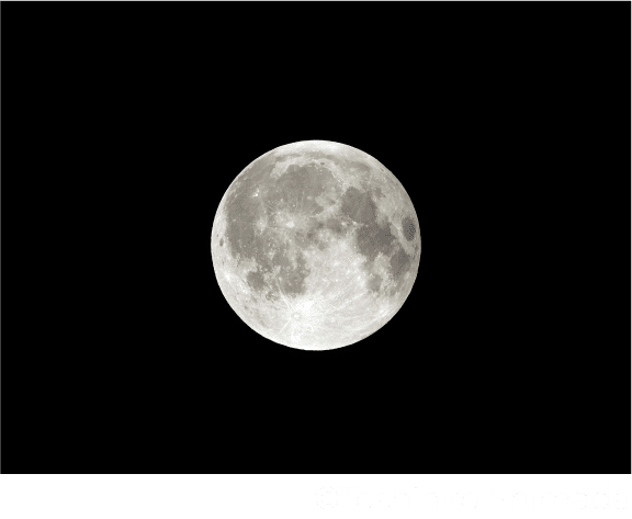 OTSUKIMI NIGHT at SHIBUYA 中秋の名月観賞