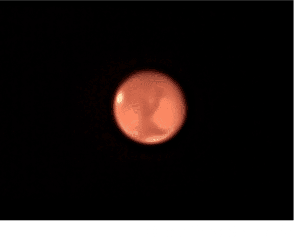 SHIBUYA PLANETS CLUSTER 月と木星・火星の観賞