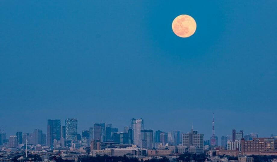 SHIBUYA SKY特別撮影会